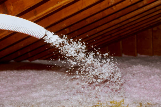 Best Insulation Maintenance and Repair in Woodbury, NJ