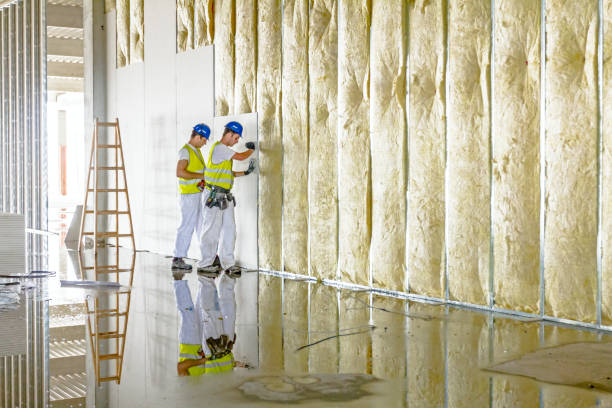 Best Cellulose Insulation in Woodbury, NJ